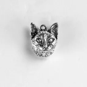 Cat, Head