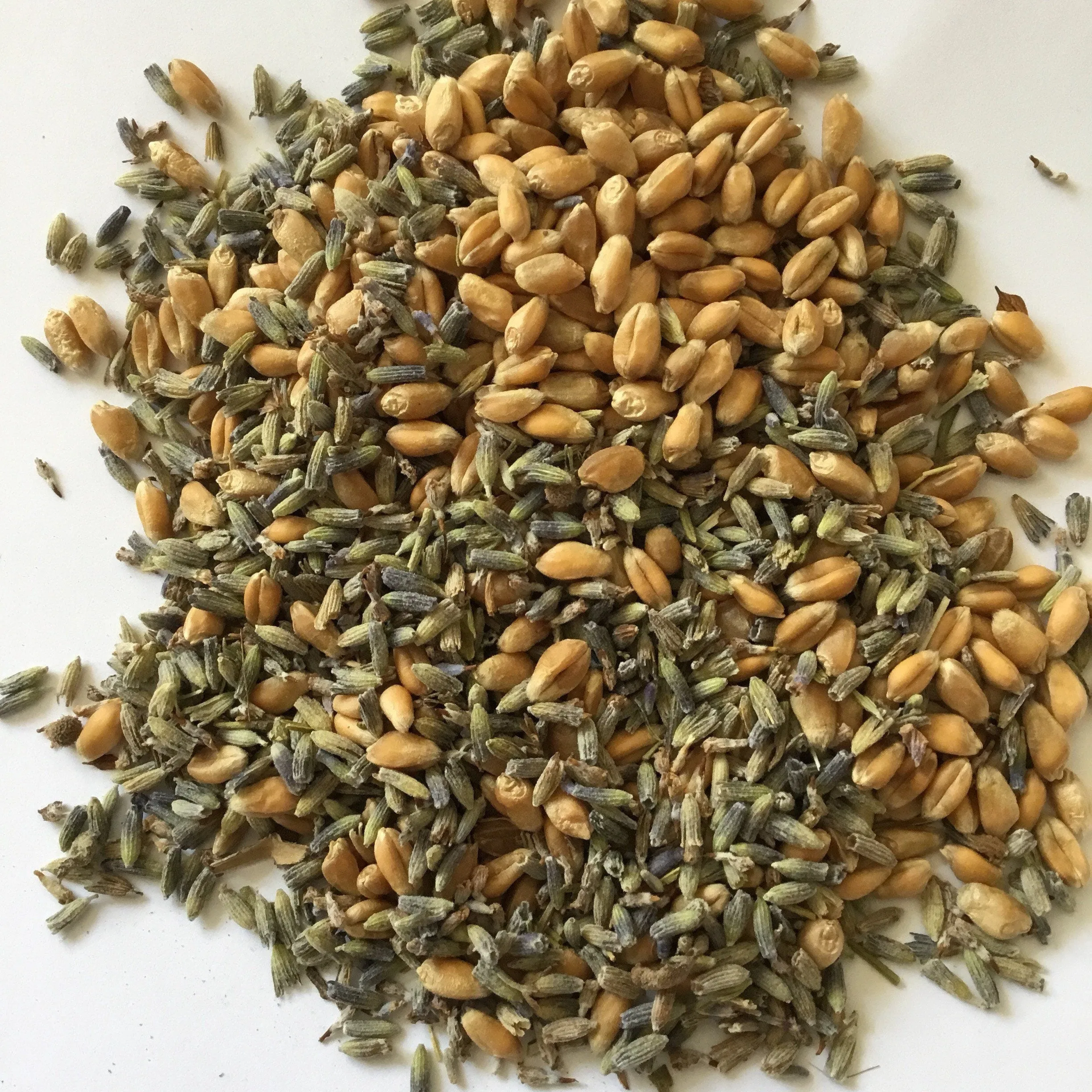 Lavender wheat bags, gardeners holistic gift, natural pain relief and restful sleep heating pad